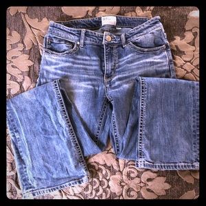 BKE Payton Bootcut Jeans-Curvy Fit